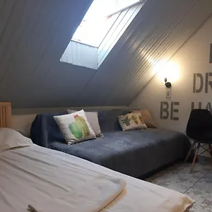 Eco Drova Hostel